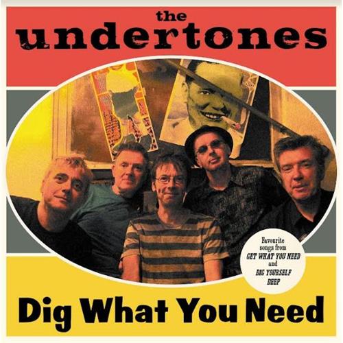 The Undertones Dig What You Need (CD) 