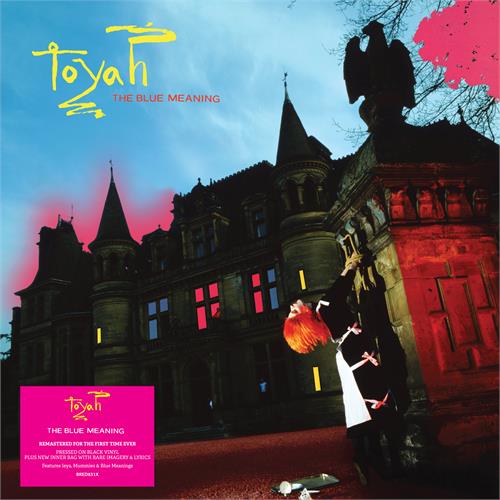 Toyah The Blue Meaning (LP) 