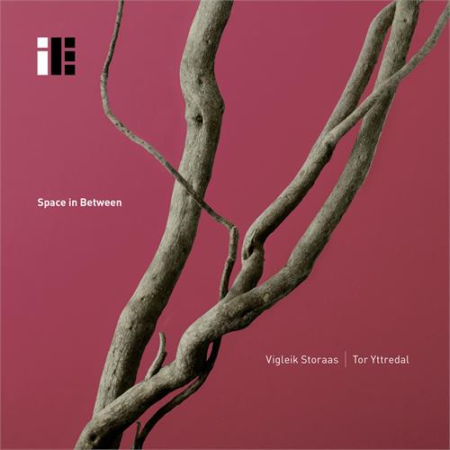 Vigleik Storaas/Tor Yttredal Space In Between (CD)