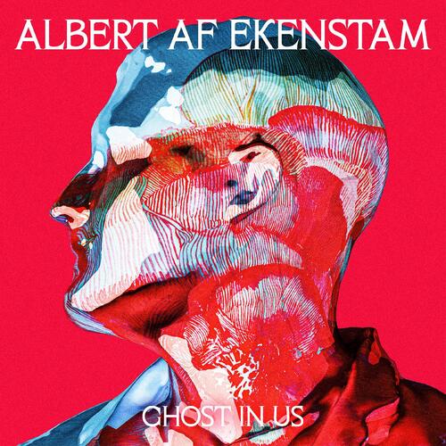 Albert af Ekenstam Ghost In Us (LP) 