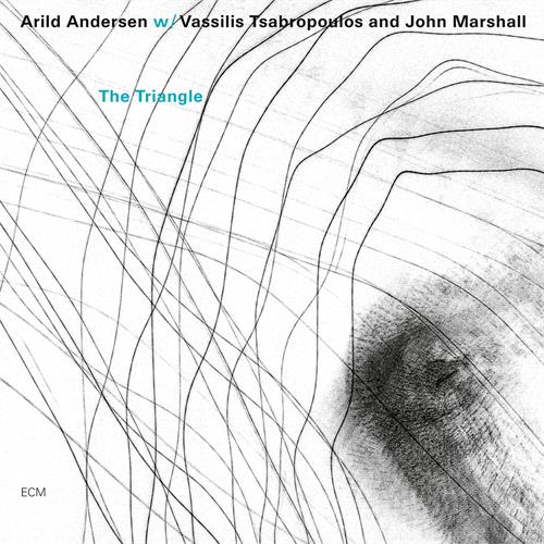 Arild Andersen The Triangle (CD)