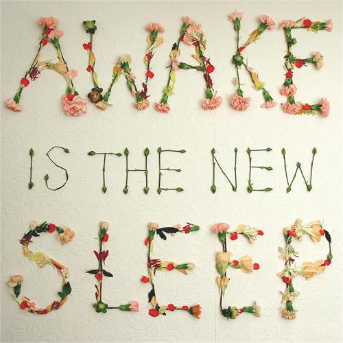 Ben Lee Awake Is The New Sleep - 10th… (2LP)