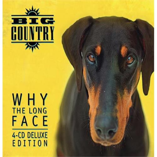 Big Country Why The Long Face (3CD)