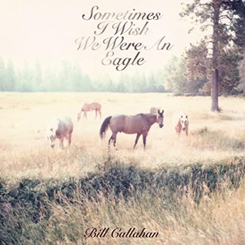Bill Callahan Sometimes I Wish We Were An Eagle (CD)