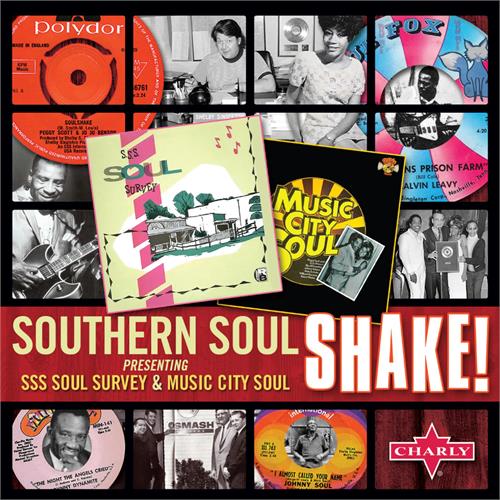Diverse Artister Southern Soul Shake (2CD)