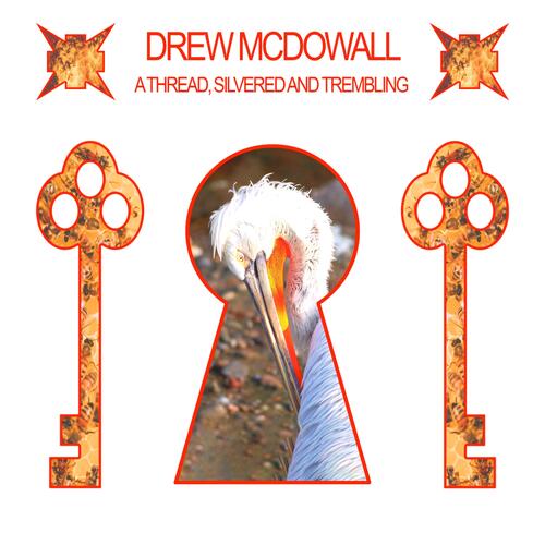 Drew McDowall A Thread, Silvered And… - LTD (LP)