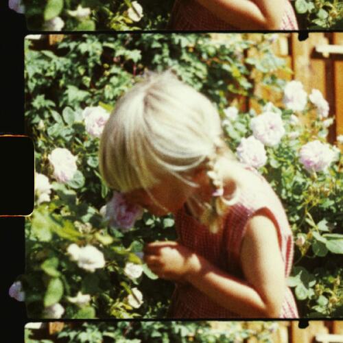 Hiccup Heart Gravity Racer (LP) 