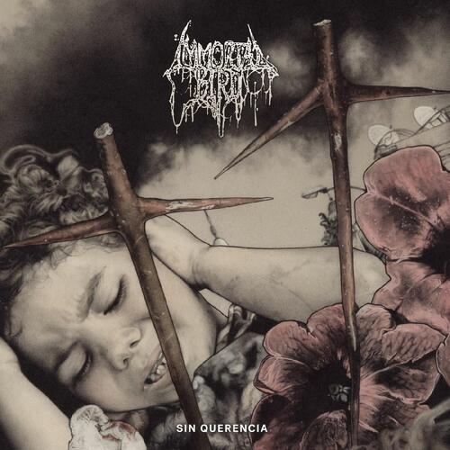 Immortal Bird Sin Querencia - LTD (LP) 