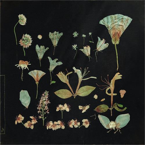 Leaving Laurel When The Quiet Comes (2LP) 