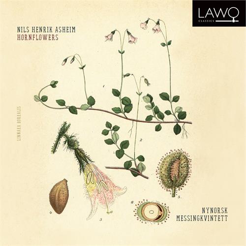 NyNorsk Messingkvintett Asheim: Hornflowers (CD)