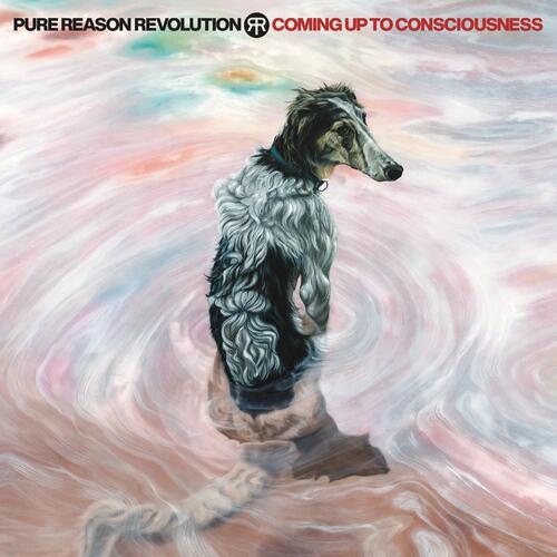 Pure Reason Revolution Coming Up To Consciousness (CD) 