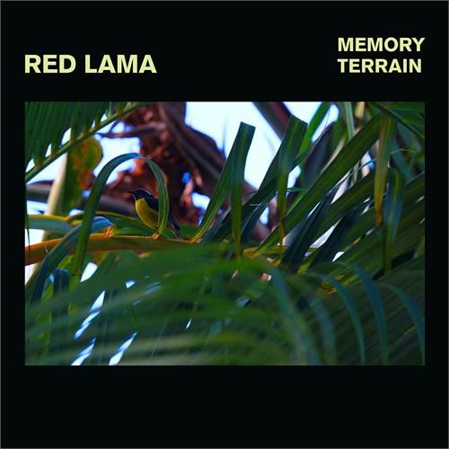 Red Lama Memory Terrain (LP)