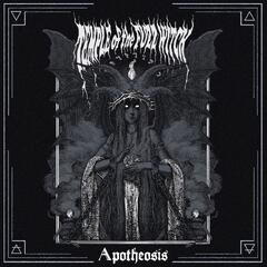 Temple Of The Fuzz Witch Apotheosis (LP)