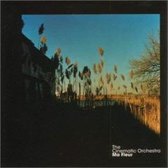 The Cinematic Orchestra Ma Fleur - LTD (2LP)
