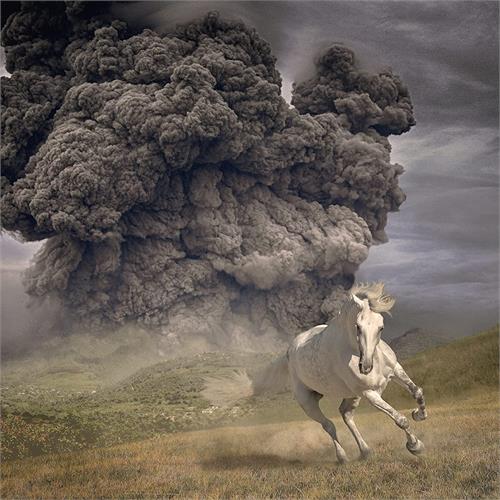 The White Buffalo Year Of The Dark Horse (LP)