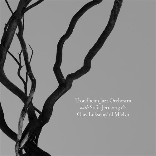 Trondheim Jazzorkester & Sofia Järnberg With Sofia Järnberg & Olav … (CD)