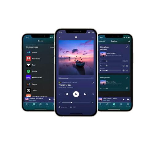 WiiM Ultra, streamer/forforsterker MM-RIAA,  HDMI-ARC, grafitt 