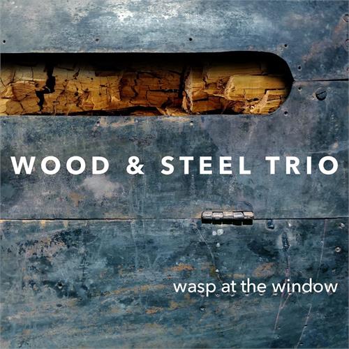 Wood & Steel Trio Wasp At The Window (CD)