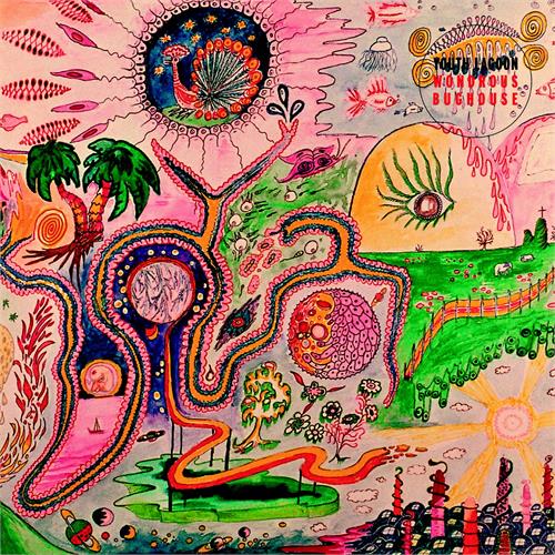 Youth Lagoon Wondrous Bughouse (CD) 