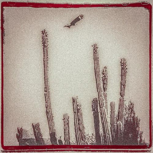 Alejandro Escovedo La Cruzada - LTD (2LP) 