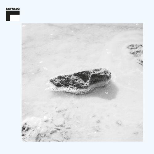 Andrea Giordano Alea (CD) 