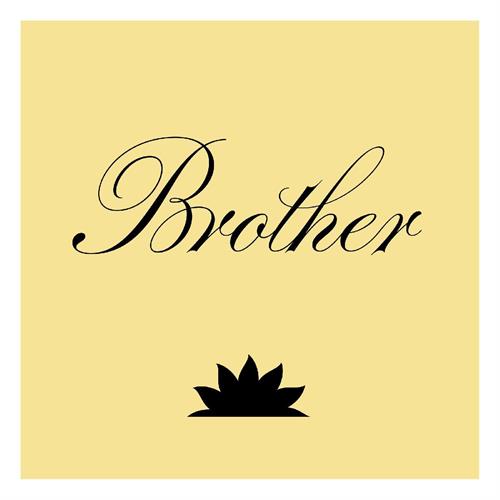 Brthr Brother (LP)