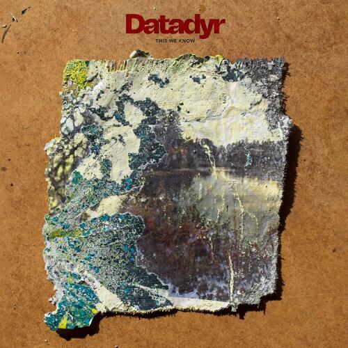 Datadyr This We Know - LTD (LP) 