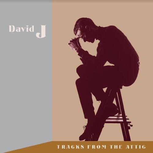 David J Tracks From The Attic (3CD)