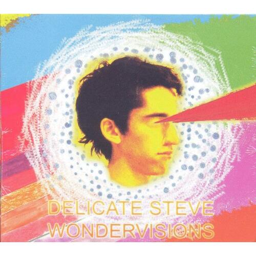Delicate Steve Wondervisions (CD)