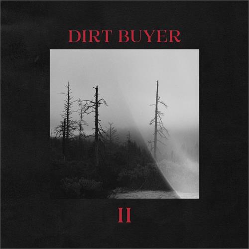 Dirt Buyer Dirt Buyer II - LTD (LP)