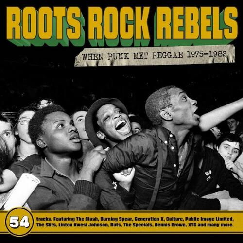 Diverse Artister Roots Rock Rebels - When Punk… (3CD) 