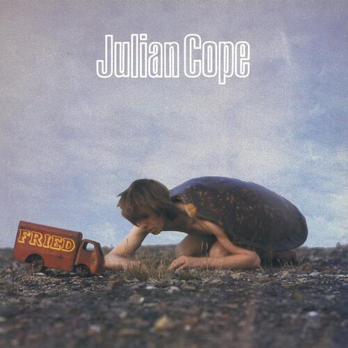 Julian Cope Fried (LP)