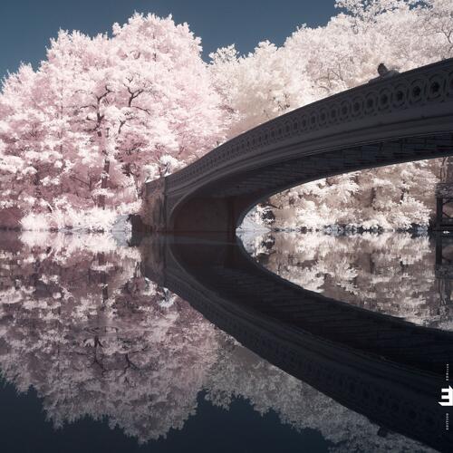 Liam Noble Long Game (CD) 