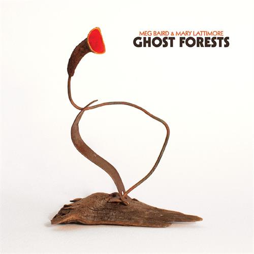 Meg Baird & Mary Lattimore Ghost Forests - LTD (LP)