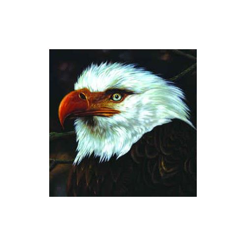 Mogwai The Hawk Is Howling (CD)