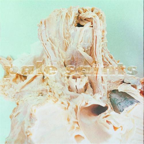 Pale Saints In Ribbons - Deluxe Edition (2CD) 