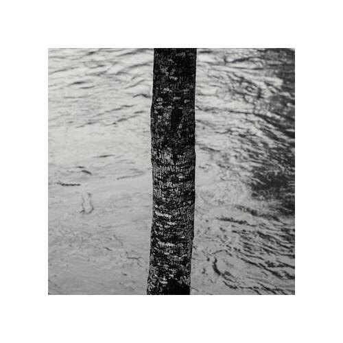 Phil Minton True (CD) 