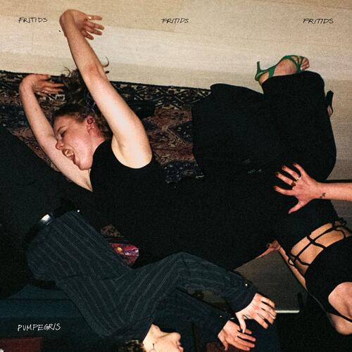 Pumpegris Fritids (LP) 