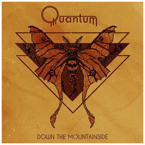 Quantum Down The Mountainside - LTD (LP)