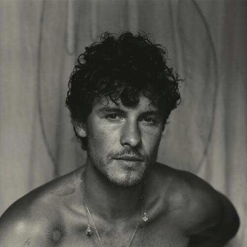 Shawn Mendes Shawn - LTD (LP) 