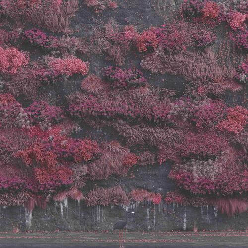 Sleep Token Even In Arcadia - LTD (2LP) 