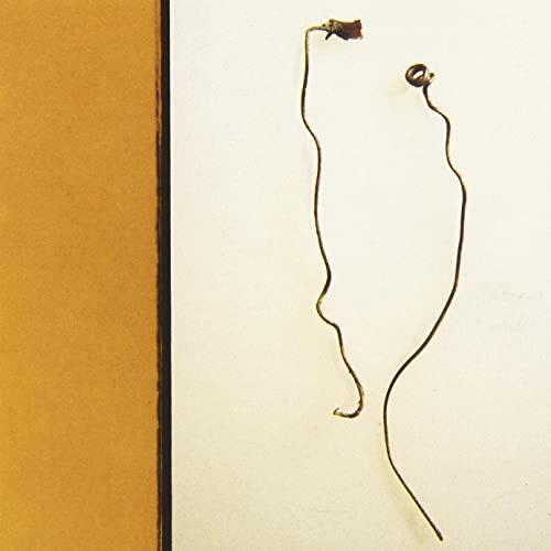 Smart Went Crazy Con Art (CD) 