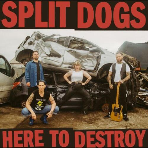 Split Dogs Here To Destroy (LP) 