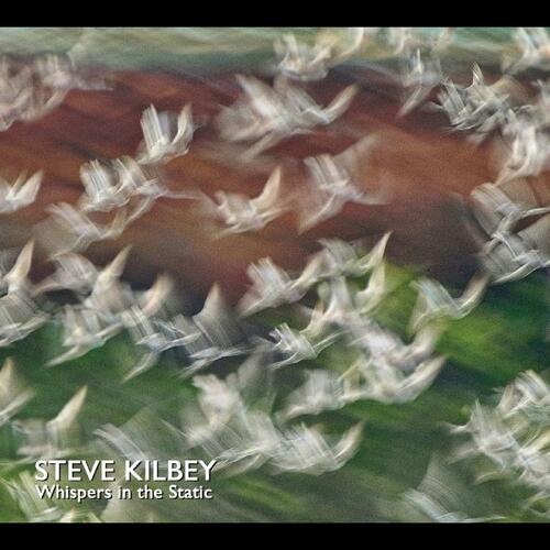 Steve Kilbey Whispers In The Static (LP) 