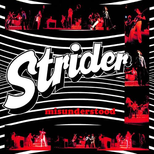 Strider Misunderstood (CD)
