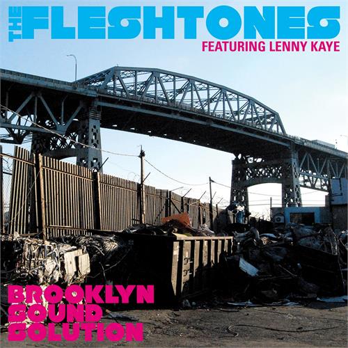 The Fleshtones Brooklyn Sound Solution (CD)
