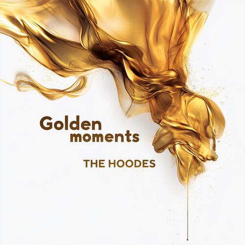 The Hoodes Golden Moments (LP) 