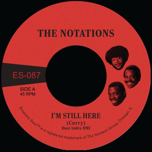 The Notations I'm Still Here/What More Can I Say (7") 
