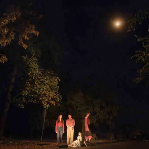 The Ophelias Spring Grove - LTD (LP) 