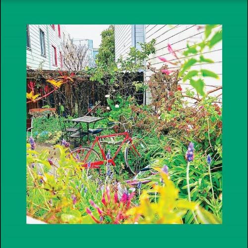 The Reds, Pinks And Purples Unwishing Well (CD) 